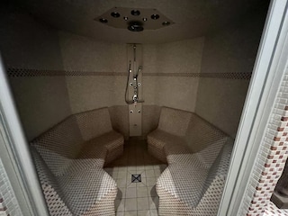BioSauna