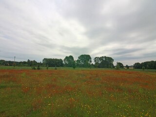 Appartamento Neubukow Ambiente 41