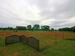 Appartement Neubukow Omgeving 40