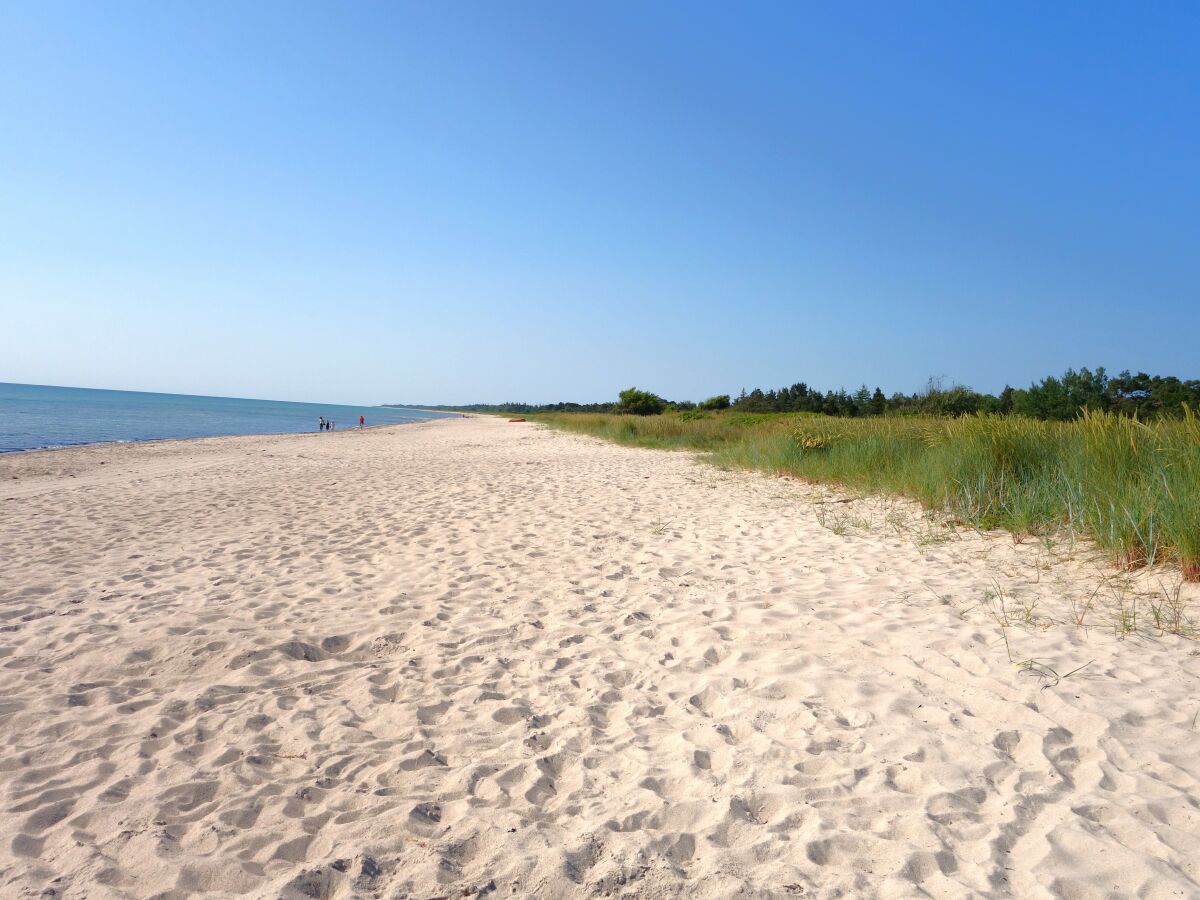 Strand im August