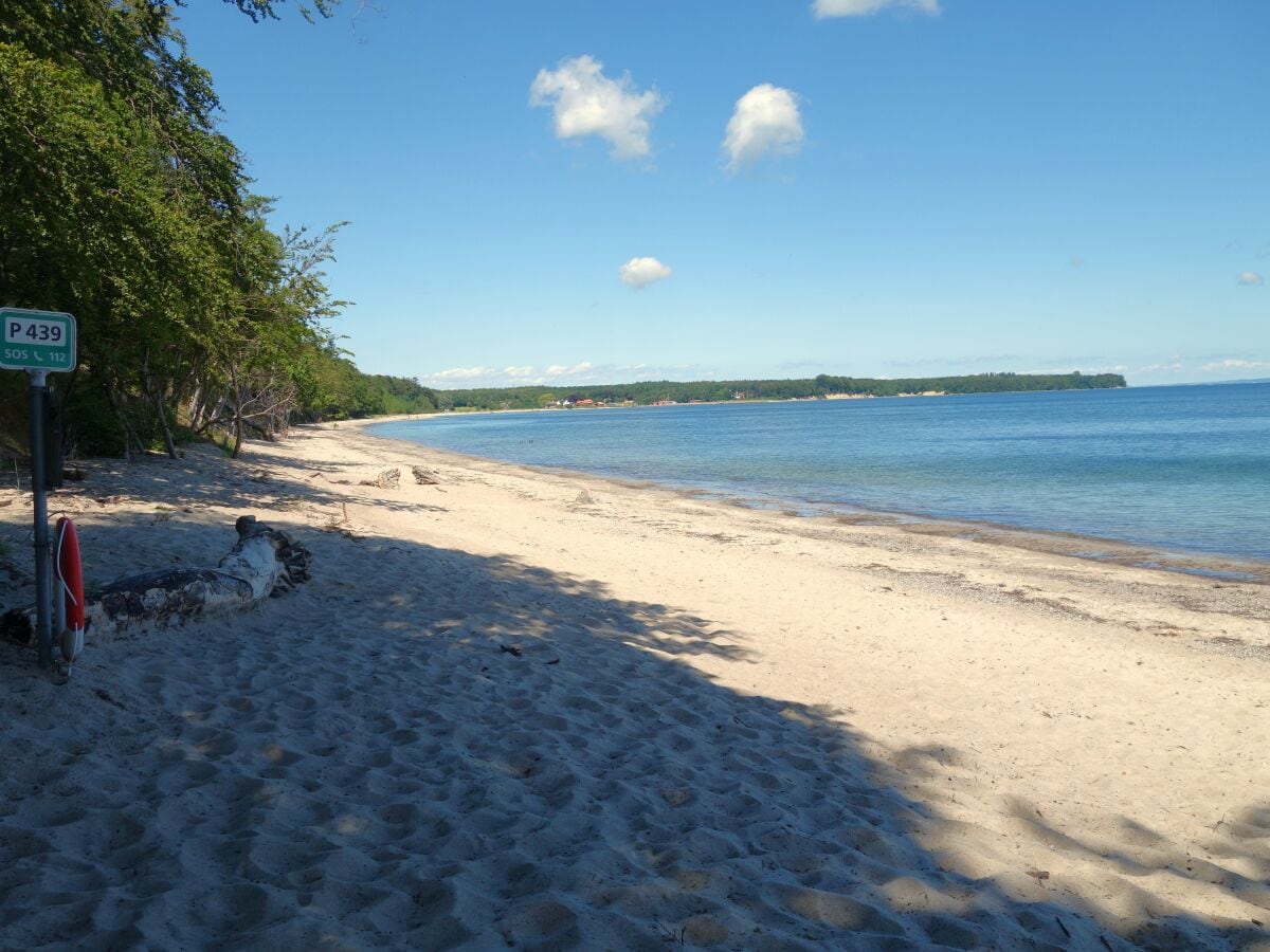 Karibisches Flair an der Ostsee