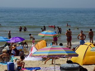Casa per le vacanze Zoutelande Ambiente 40