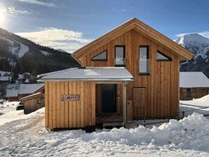 Attractive chalet with infrared sauna - Hohentauern - image1