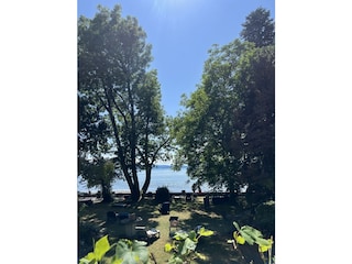 Seeblick im Haus Knöpfler