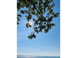 Blick in die Schweiz