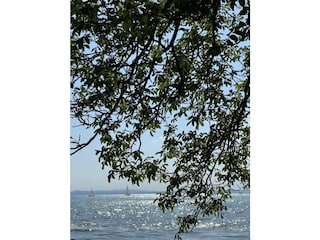 Blick von unserem Garten auf den See