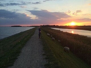 Casa de vacaciones Burg auf Fehmarn  26