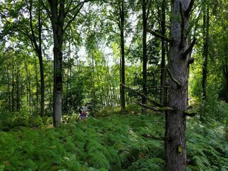 Type de propriété : Chalet Antoing Enregistrement extérieur 7