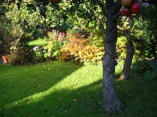 Der Garten