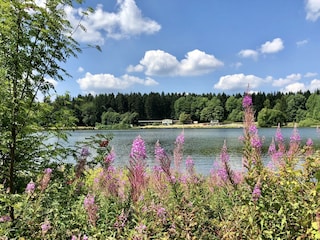 Holiday house Clausthal-Zellerfeld Environment 19