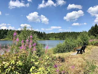 Maison de vacances Clausthal-Zellerfeld Environnement 17