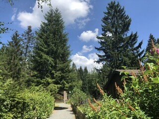 Vakantiehuis Clausthal-Zellerfeld Omgeving 20