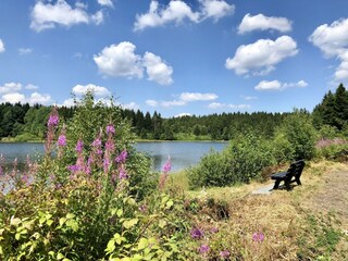 Maison de vacances Clausthal-Zellerfeld Environnement 18