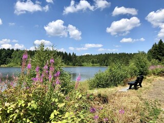 Ferienhaus Clausthal-Zellerfeld Umgebung 23