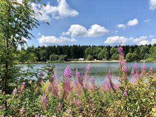 Casa per le vacanze Clausthal-Zellerfeld Ambiente 24