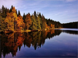 Vakantiepark Clausthal-Zellerfeld Omgeving 15