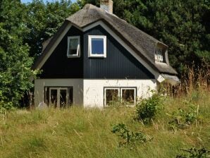 Landhaus Großzügige Villa in De Cocksdorp mit Garten - De Cocksdorp - image1