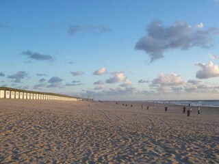 Vakantiehuis Oosterend Omgeving 18