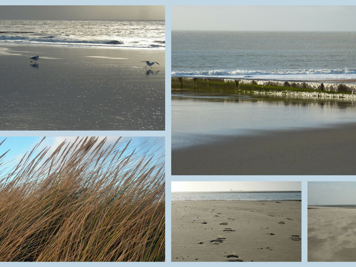 beach and water