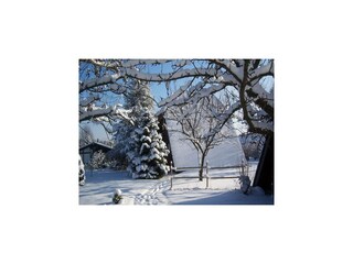 Ferienpark Waldbrunn (Odenwald) Außenaufnahme 3