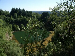 Parque de vacaciones Waldbrunn (Odenwald) Entorno 17