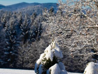 Parc de vacances Waldbrunn (Odenwald) Environnement 22