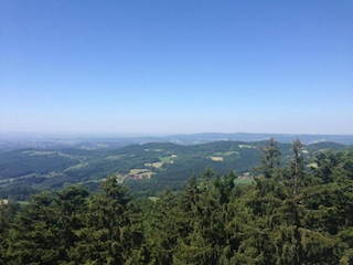 Vakantiepark Waldbrunn (Odenwald) Omgeving 21