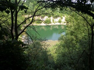 Parque de vacaciones Waldbrunn (Odenwald) Entorno 25