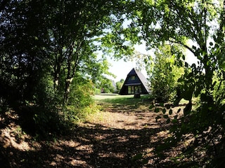 Ferienpark Waldbrunn (Odenwald) Außenaufnahme 4
