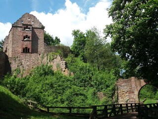 Holiday park Waldbrunn (Odenwald) Environment 25