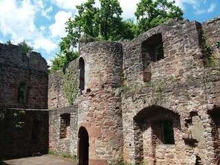 Vakantiepark Waldbrunn (Odenwald) Omgeving 26