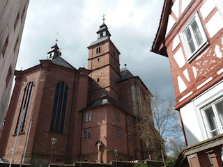Ferienpark Waldbrunn (Odenwald) Umgebung 26