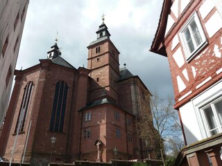 Vakantiepark Waldbrunn (Odenwald) Omgeving 27