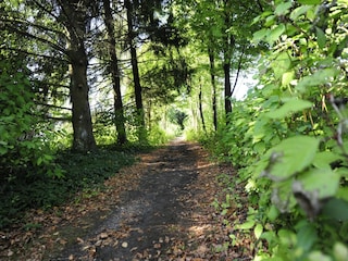 Ferienpark Waldbrunn (Odenwald) Umgebung 24