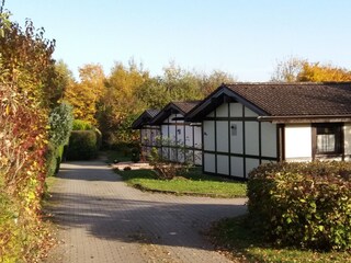 Parque de vacaciones Waldbrunn (Odenwald) Grabación al aire libre 4