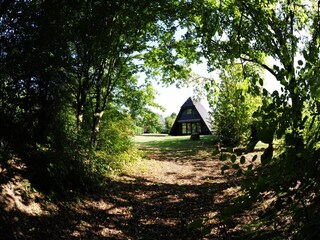 Ferienpark Waldbrunn (Odenwald) Außenaufnahme 6