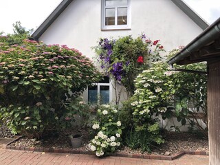 Ferienwohnung Langeoog Außenaufnahme 4