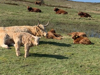 Ferienwohnung Langeoog Umgebung 26
