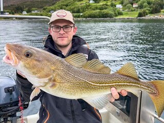 Vakantiehuis Fiskå  55
