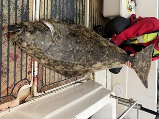 Vakantiehuis Fiskå  20