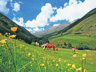 Apartamento Obergurgl Entorno 19
