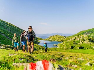 Vakantiepark Turracherhöhe Omgeving 17