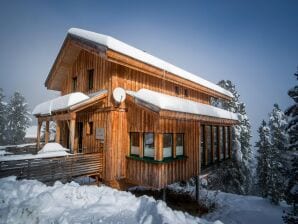 Vakantiepark Levendig chalet met infraroodsauna - Murau - image1