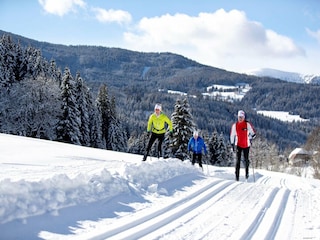 Parco vacanze Turracherhöhe Ambiente 21