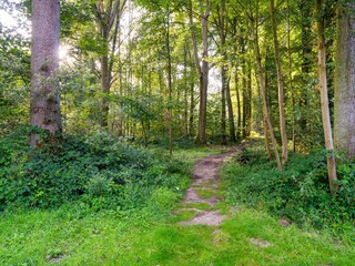 Holiday cottage Antoing Outdoor Recording 18