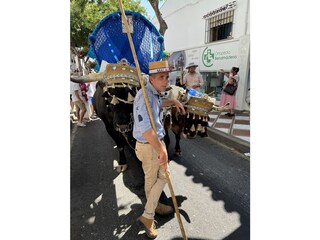 Appartamento per vacanze Benalmadena Ambiente 33