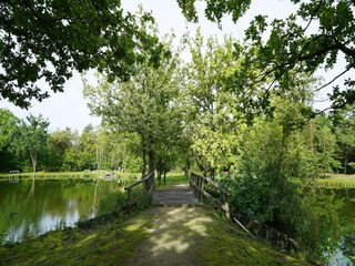 Vakantiepark Mol Omgeving 17