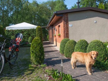 Ferienhaus Spreewaldhaus am See