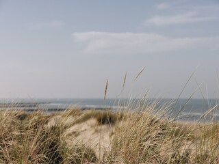 Parc de vacances Bredene Environnement 17