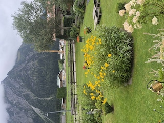 Blumen im Herbst